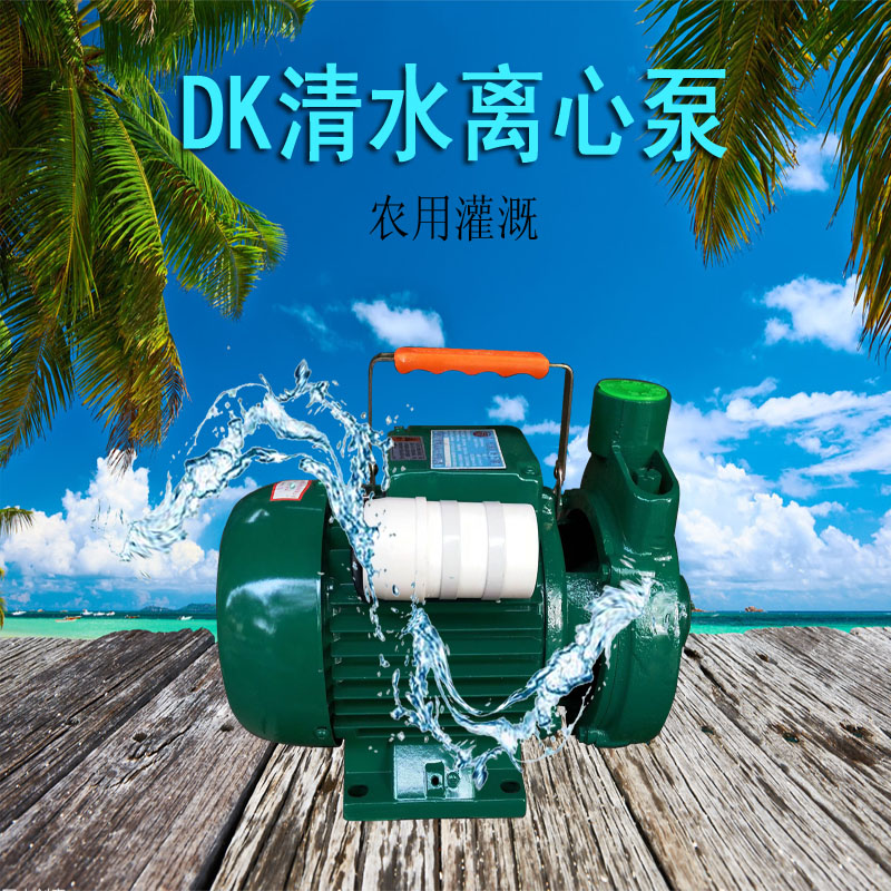 广东广东1.5DK20离心泵1.5寸农田灌溉浇水微型卧式循环泵 1.5DK离心泵