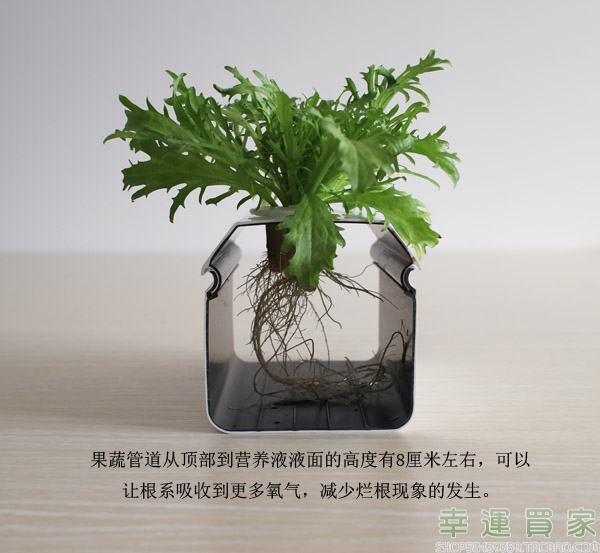 江苏南通幸运买家阳台种菜花架无土栽培设备方形PVCU叶菜果蔬通用水培管道格 无土栽培设备厂家价格