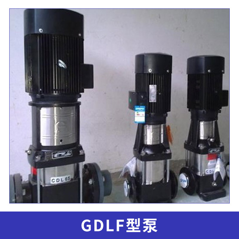 GDLF型泵 潜