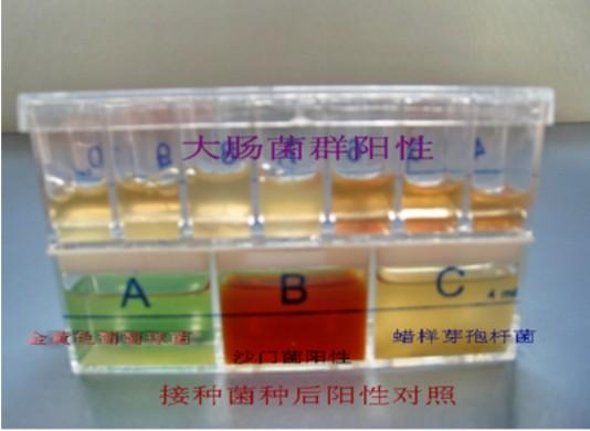 供应MD1C化学隔膜泵