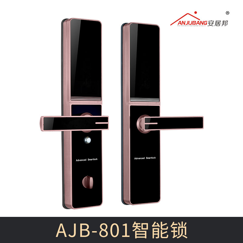 广东广州厂家直销 AJB-801智能锁 多功能智能门锁 家庭指纹密码锁 智能防盗指纹锁