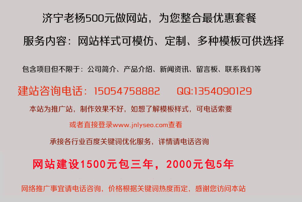 山东山东济宁专业的网站建设公司|网站制作价格