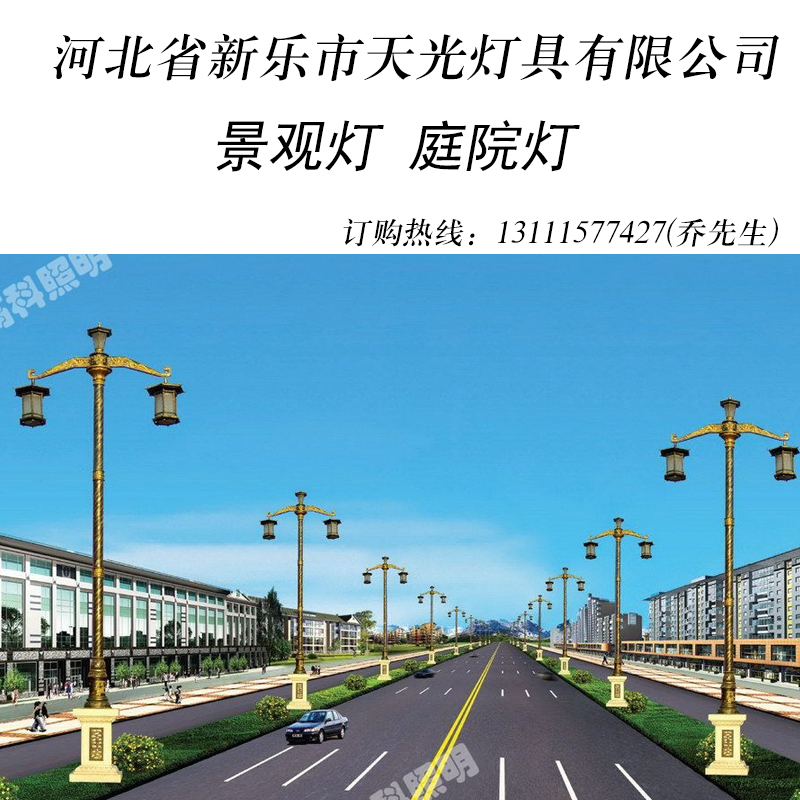 河北石家庄供应景观灯 庭院灯 道路照明灯厂家出售