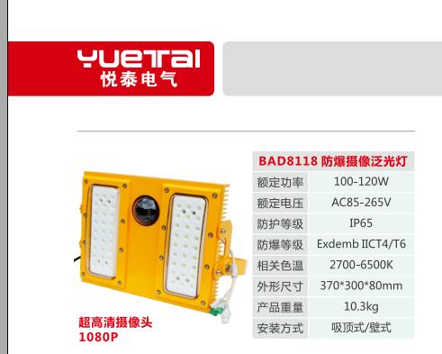 BFC8118 防爆摄像灯 LED防爆监控灯 120W