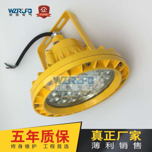 浙江温州苏州供应RLB152 LED RLB152 LED防**泛光灯