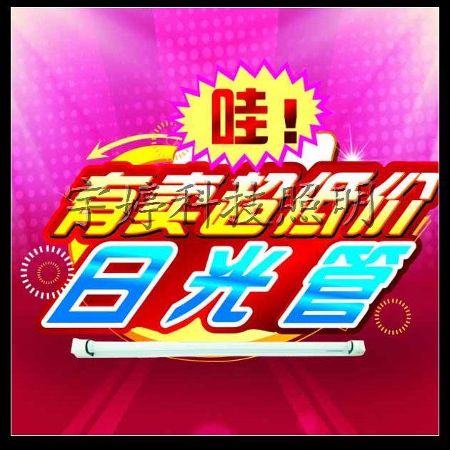 广东江门供应专业生产LED日光灯T8T5支架、电子镇流器