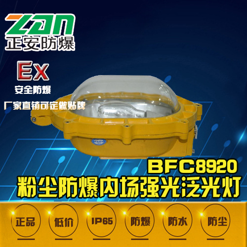 BFC8920防**内场强光泛光灯钠灯防**灯