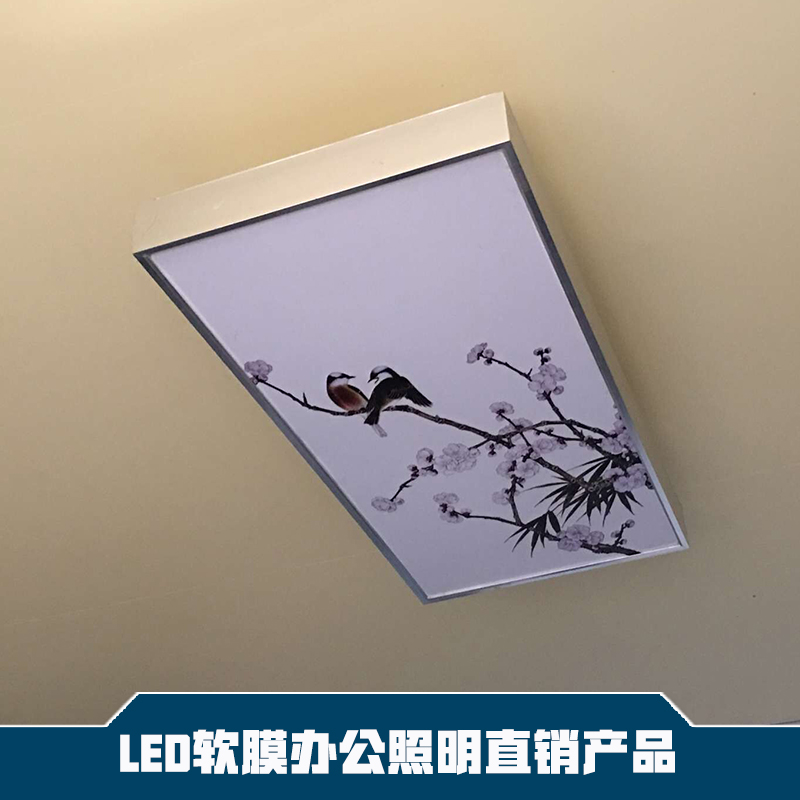 供应LED软膜办公照明厂家直销 办公照明直销产品 办公照明产品 LED软膜灯