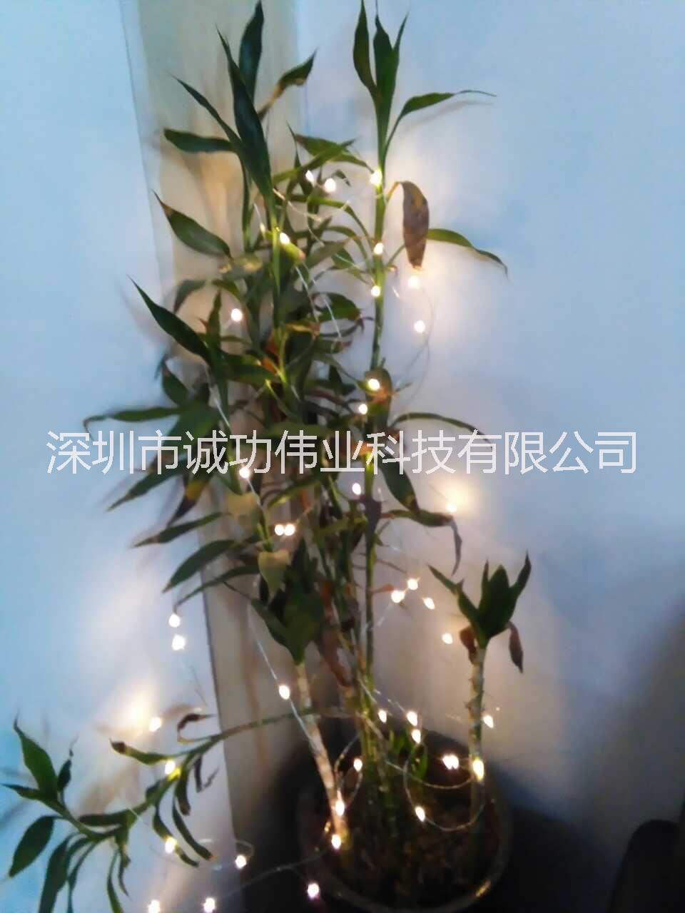 广东广东供应LED圣诞灯串LED装饰灯串灯具灯饰铜线灯干燥花艺铜线灯礼品工艺品铜线灯