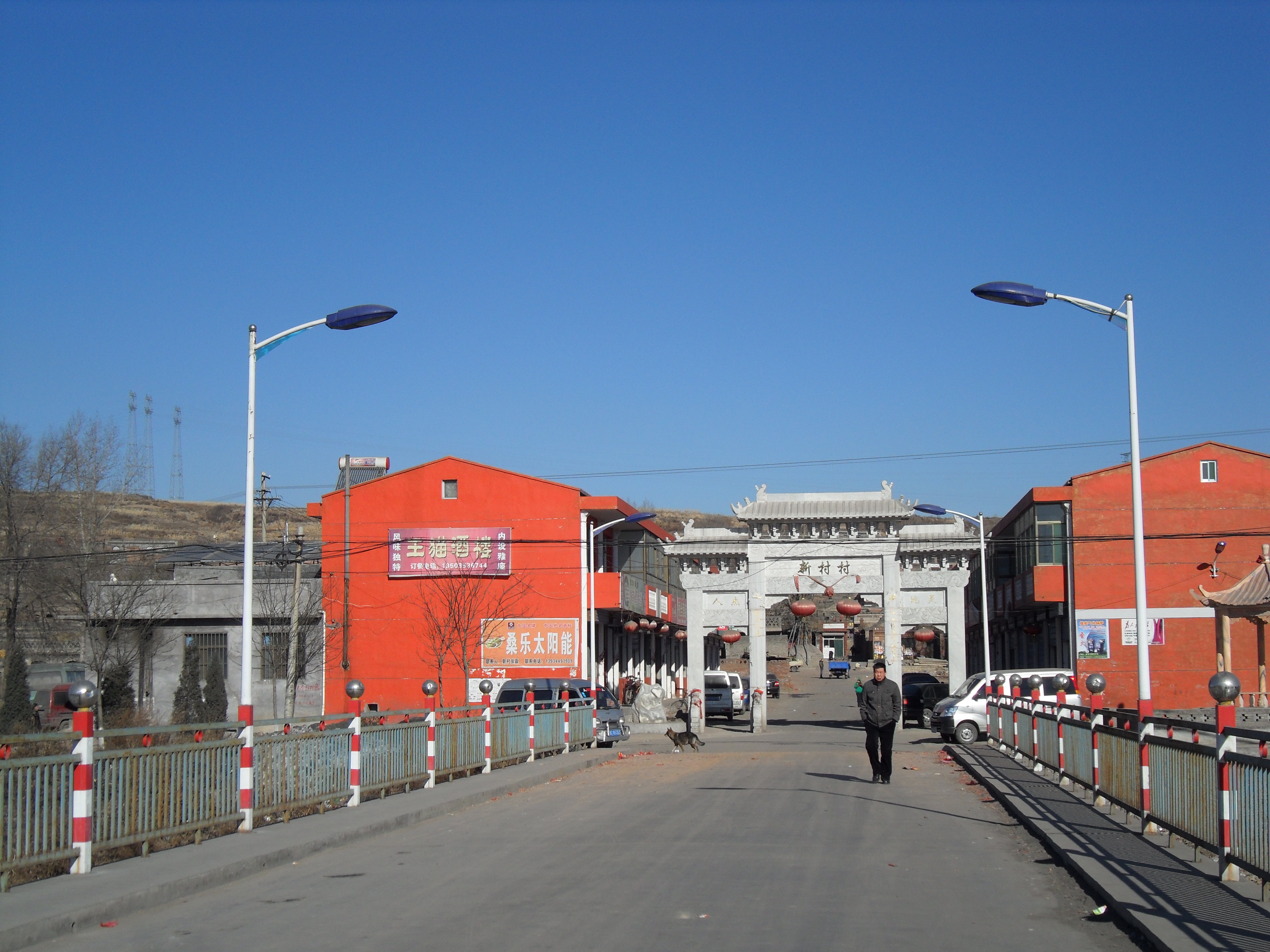 山东山东供应承德市太阳能LED路灯太阳能庭院灯