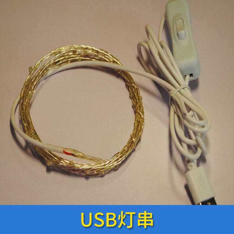 广东东莞USB灯串厂家 USB防水铜线灯带遥控彩灯 铜线灯串led电池盒闪灯串 欢迎来电订购