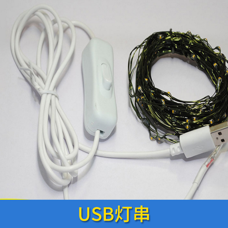 广东东莞USB灯串 铜线灯串led电池盒闪灯串 USB防水铜线灯带遥控彩灯 欢迎来电定制