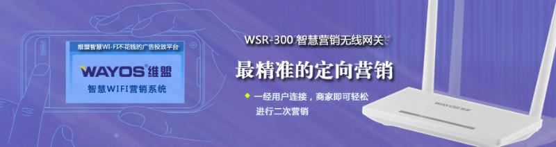 山东山东供应WSR-300智慧wifi无线网关营销路由器河南总代理