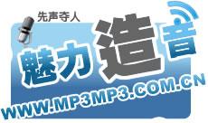 山东山东处理大宣传录音MP3广告