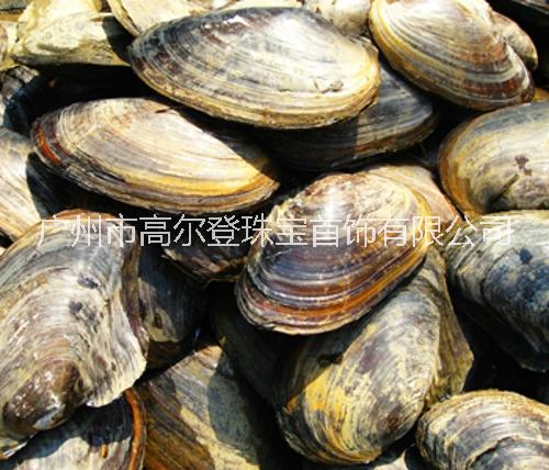 浙江温州淡水珍珠散珠天然淡水珍珠