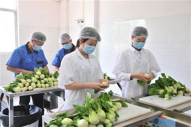 广东广东单位饭堂托管|广州饭堂托管|嘉宝饮食(查看)