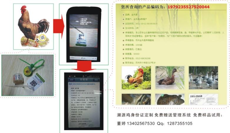 广东深圳供应宝鸡维信码鸡蛋贴肉食鸡二维码角标