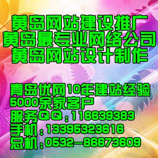 江苏江供应青岛FLASH网站设计青岛网站