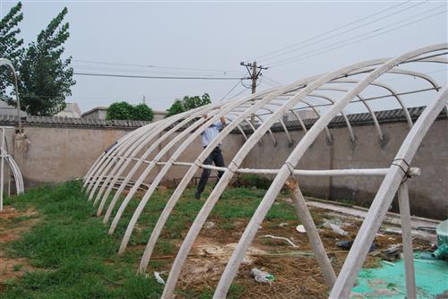 河南郑州供应蔬菜大棚建设推广蔬菜大棚骨架