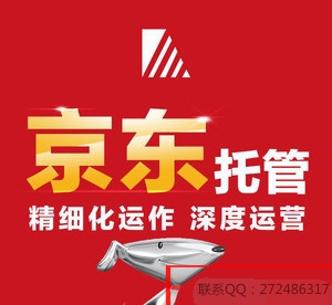 陕西陕西供应长沙京东店铺代运营|京东网店代运