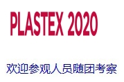 2020年埃及国