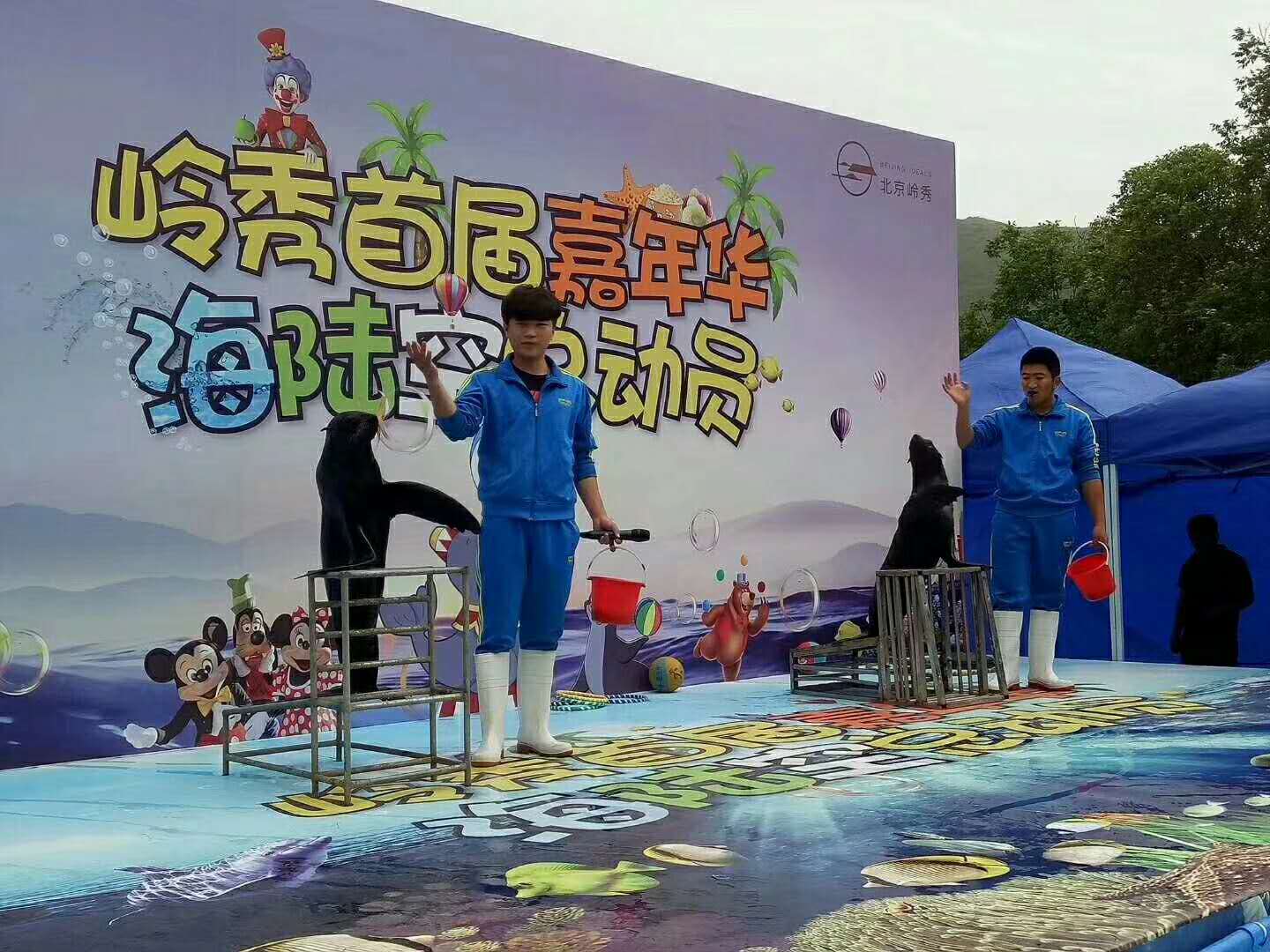 上海上海庆典暖场互动海洋生物展表演低价出租出售