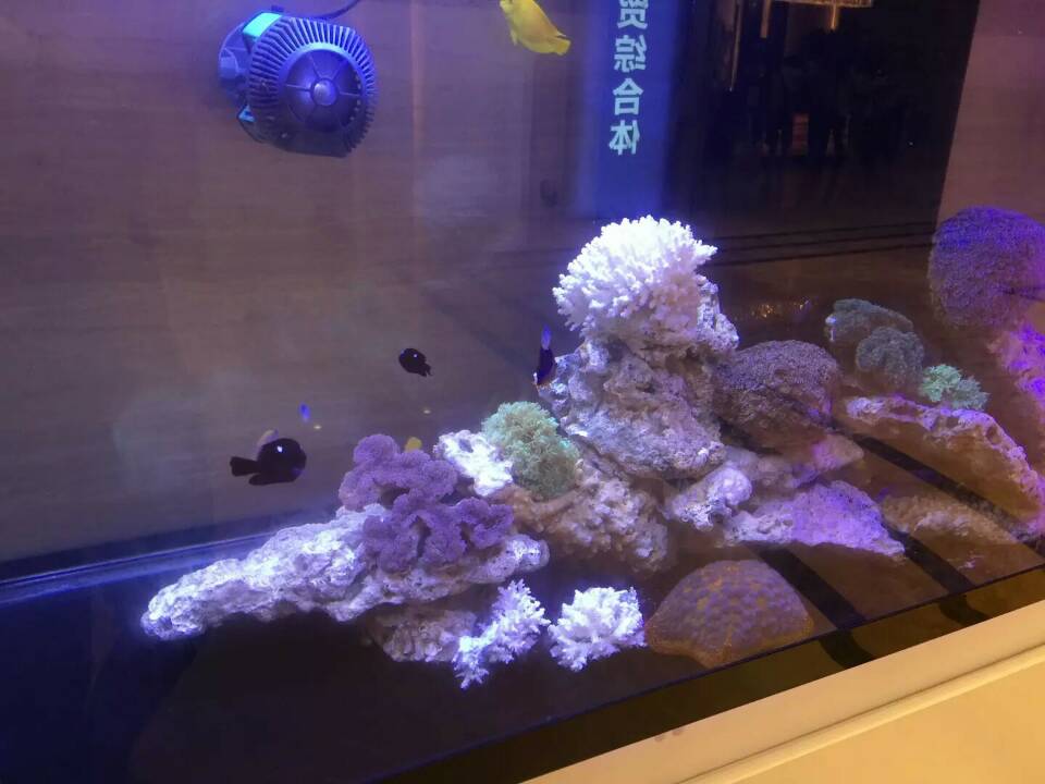 供应高端海洋展，长期承接海洋展位出租