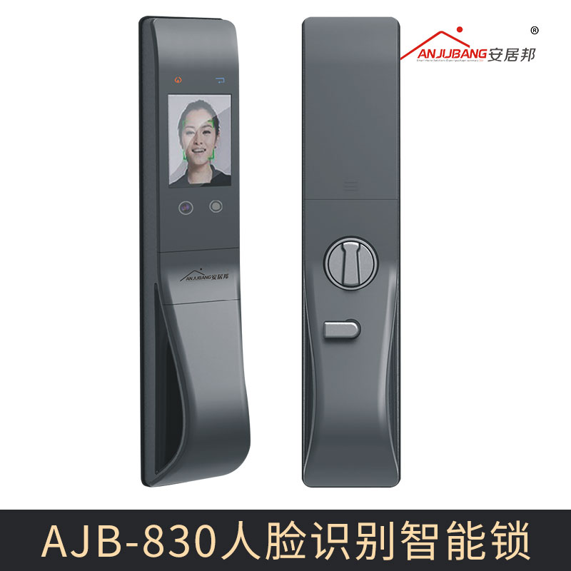 广东广州厂家直销 AJB-830人脸识别智能锁 人脸识别门锁智能锁 面部识别防盗锁