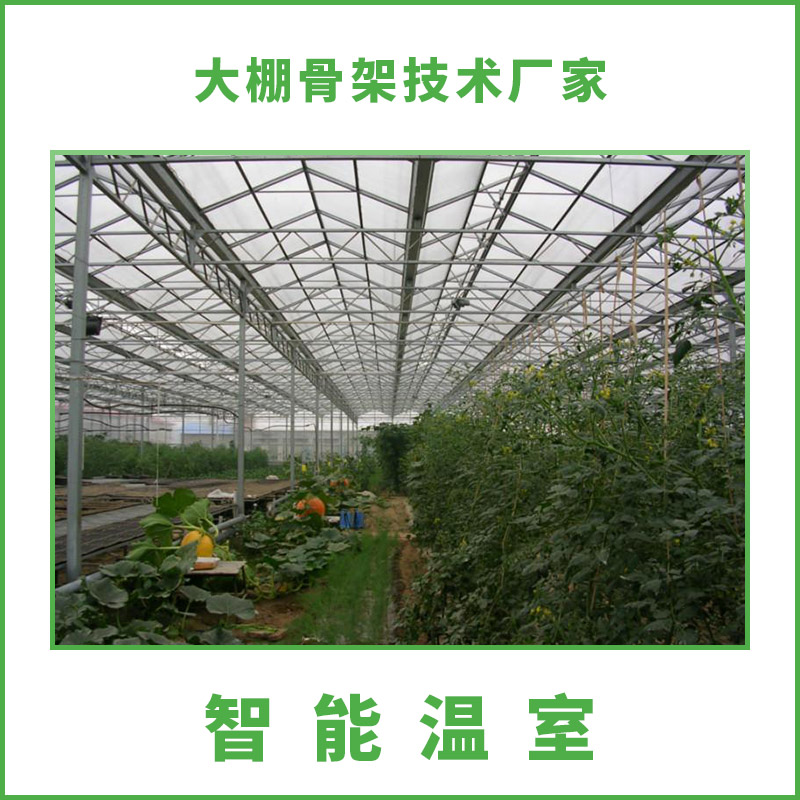 河北石家庄供应智能温室 智能温室技术 智能调节温室 蔬菜温室智能温室