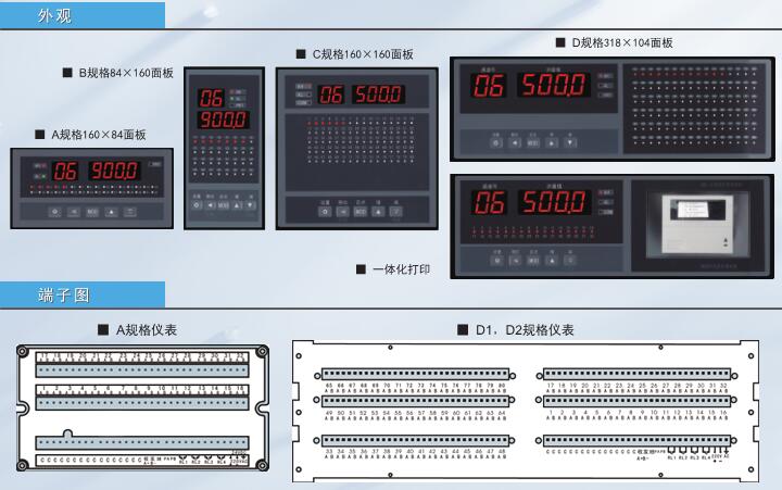 山东山东温度信号巡检仪