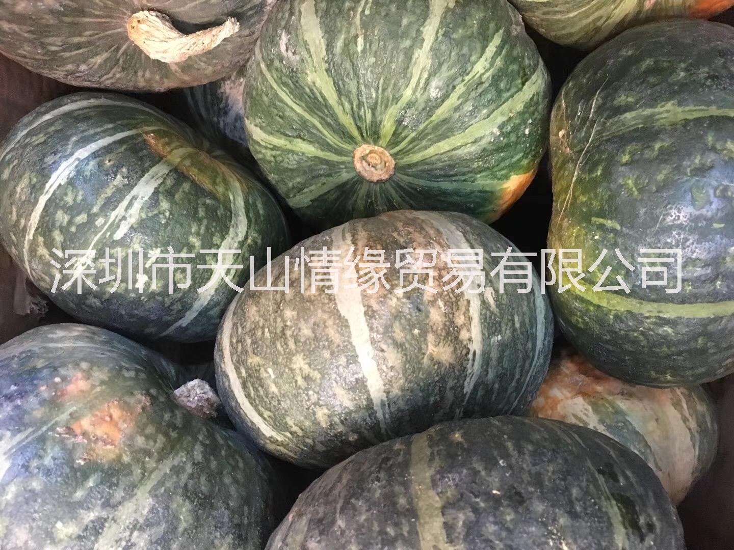 广东广东新疆南瓜