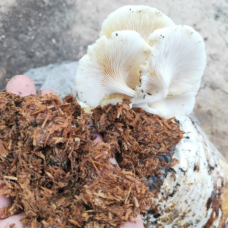 海绵种植土可以根据不同项目要求配置造价低透水保水