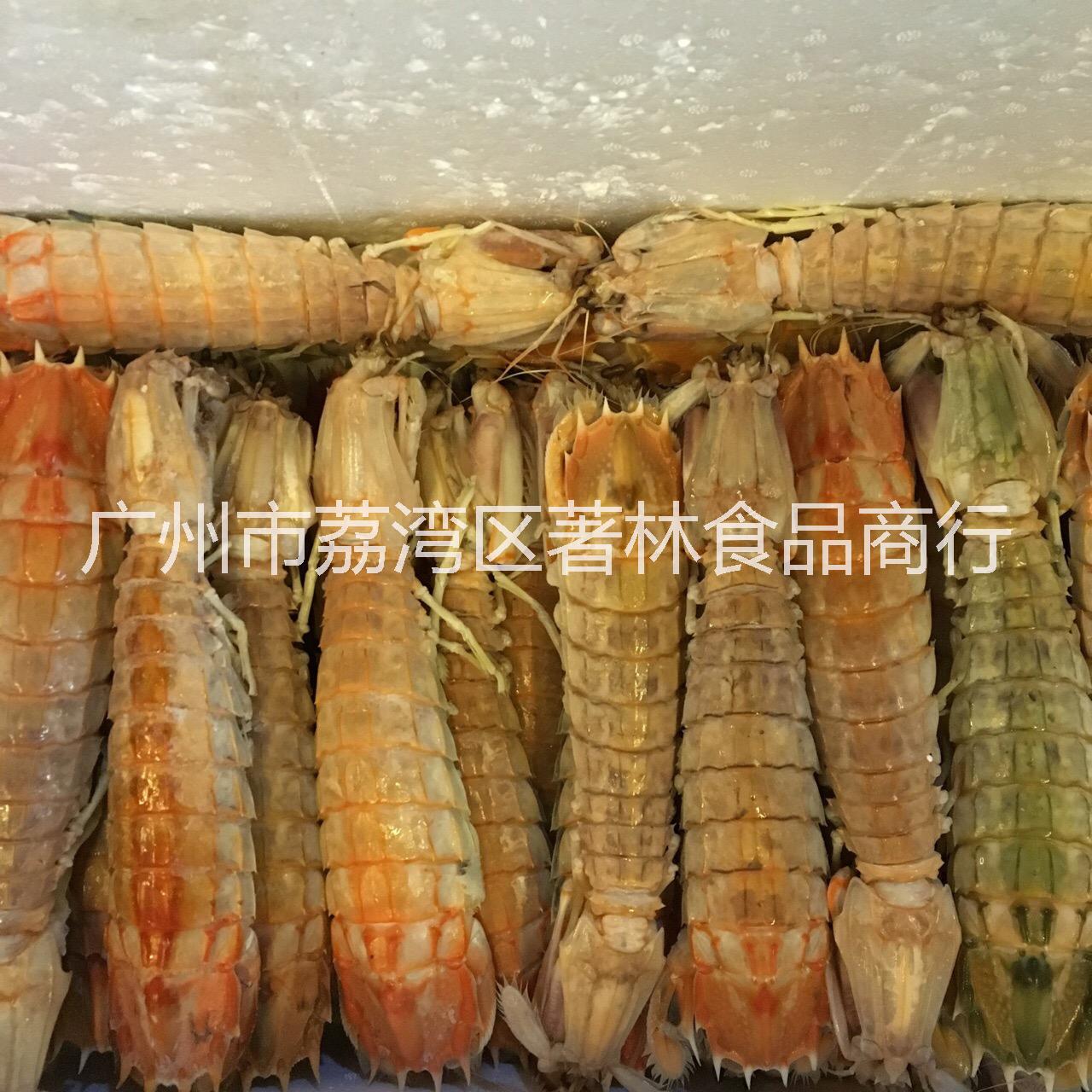 上海上海【著林】泰国赖尿虾 超大虾姑 富贵虾 餐饮烧烤食品专用 【著林】赖尿虾超大虾姑 富贵虾