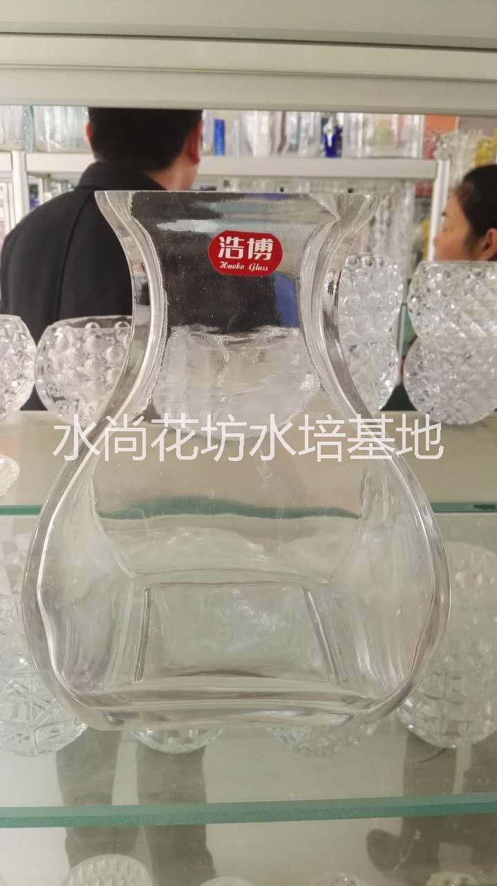 广东东莞供应水培透明玻璃异型方缸透明鱼缸批发，厂家大量批发 异型玻璃花瓶 富贵竹水晶玻璃瓶批发 水培花卉玻璃瓶批发 水培花卉定植