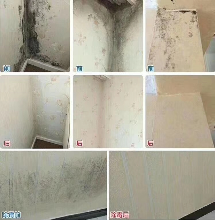 广东广州建筑环保产品