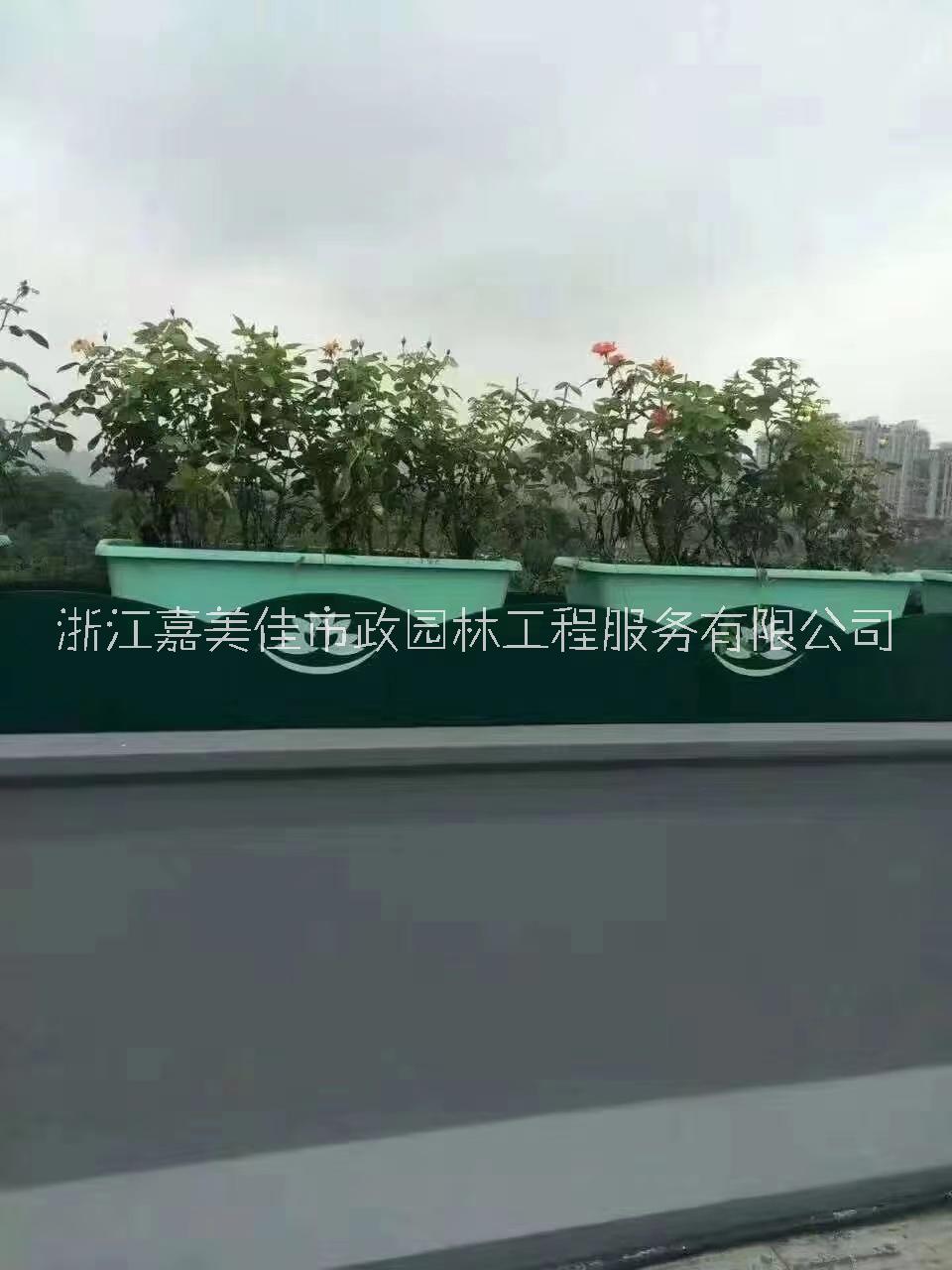 浙江湖州PP花盆  人气高架天桥PP塑料花箱  市政工程树脂花盆  花槽隔离围栏绿植简约