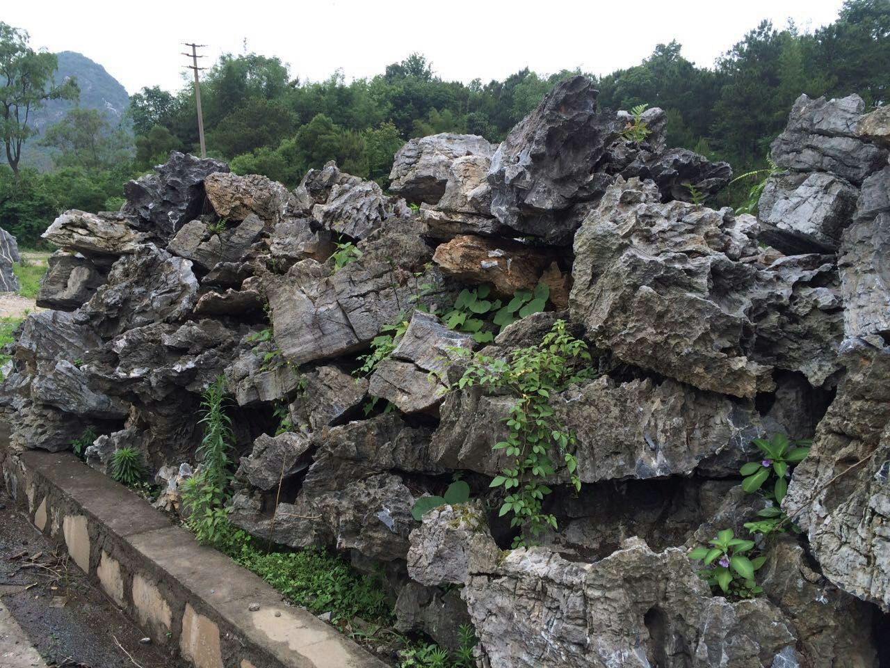 广东广东南宁市景观石 现代庭院风景石 花园假山石太湖石英石