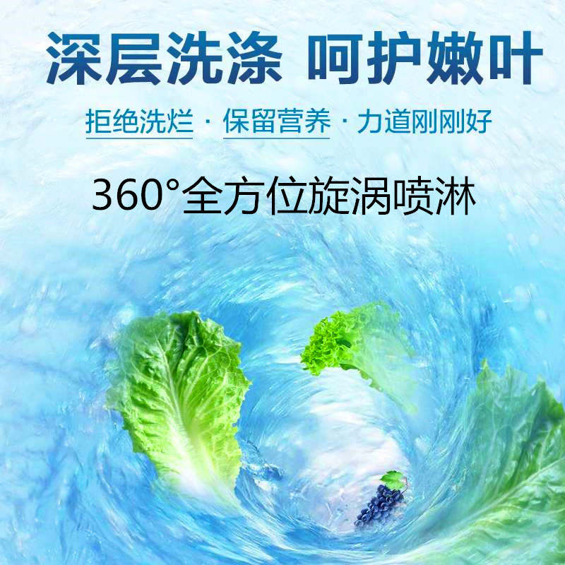 广东广州等离子家用果蔬净化解毒机 多功能等离子果蔬消毒机