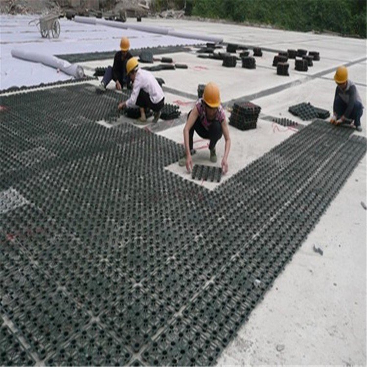 浙江浙江广州排水板价格 足球场疏水板市政工程蓄水排水板焊接施工