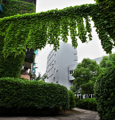 河南河南珠三角园林景观工程 花园工程 庭院绿化 屋顶花园 农庄规划设计