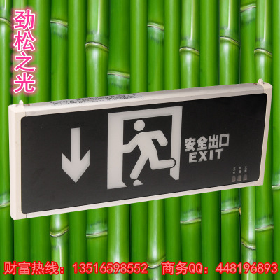 广东中山消防应急灯、新国标插电明装、安全出口疏散指示灯标志牌、消防应急灯厂家