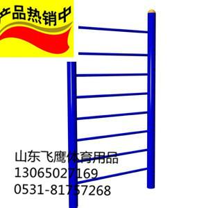 山东济南供应FY-608肋木架运动健身体操系列