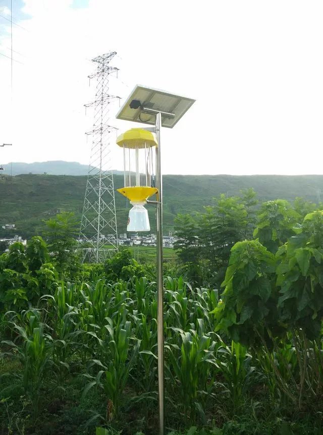 蔬菜杀虫灯厂家销售 大棚农用诱虫灯批发价格 太阳能杀虫灯 频振式 蔬菜基地