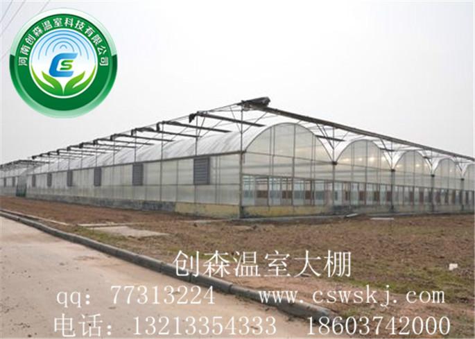 蔬菜大棚种植技术公司，河南蔬菜大棚建造报价，河南温室大棚价格