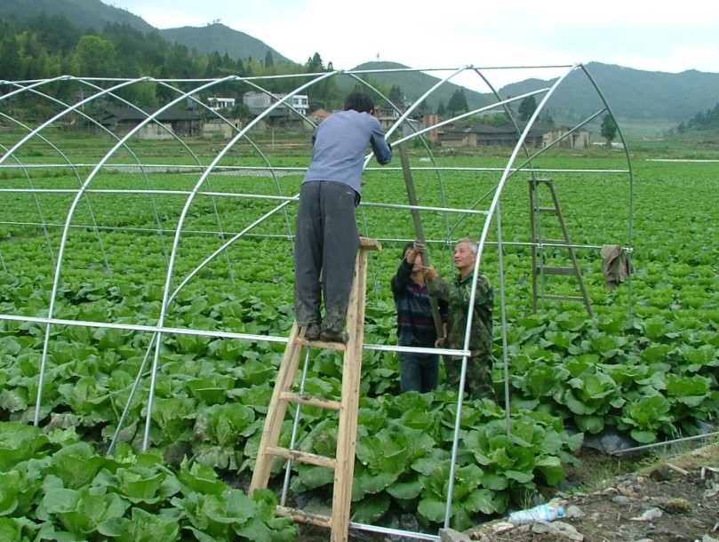 <-><->蔬菜大棚/养殖大棚/花卉大棚/葡