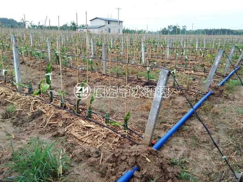 广西河池广东农业节水灌溉材料 广东阳春滴灌带价格滴灌管厂家