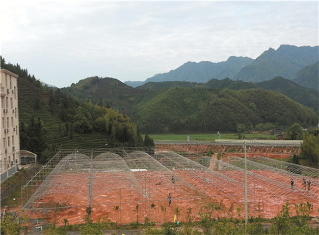 福建福建温室大棚骨架_柘荣大棚_福州元凯温室大棚(查看)