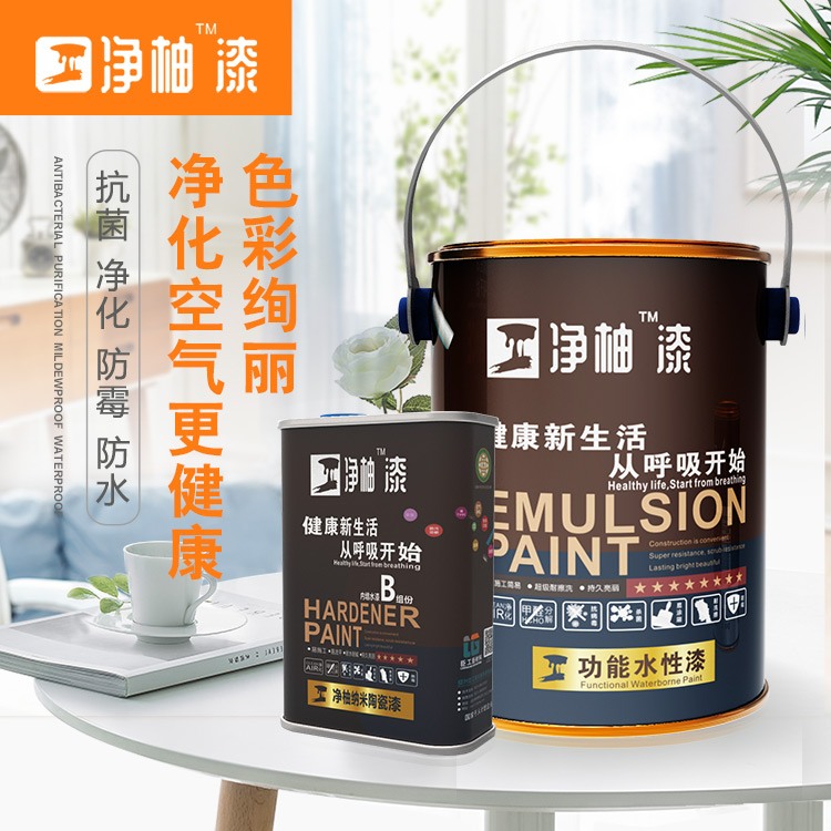 臣工净柚漆净美系列WNM-411纳米薄膜抗菌陶瓷漆5L装水性漆内墙漆