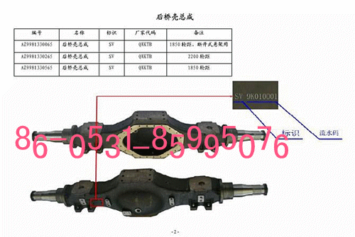 山东济南9981330066