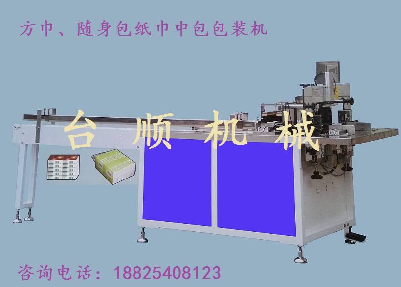 TS-RCB-B方巾纸、餐巾纸、随身包纸巾中包包装机优惠价格